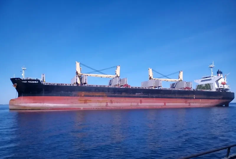 THOR MAGNHILD Bulk Carrier IMO 9303041 photo 10