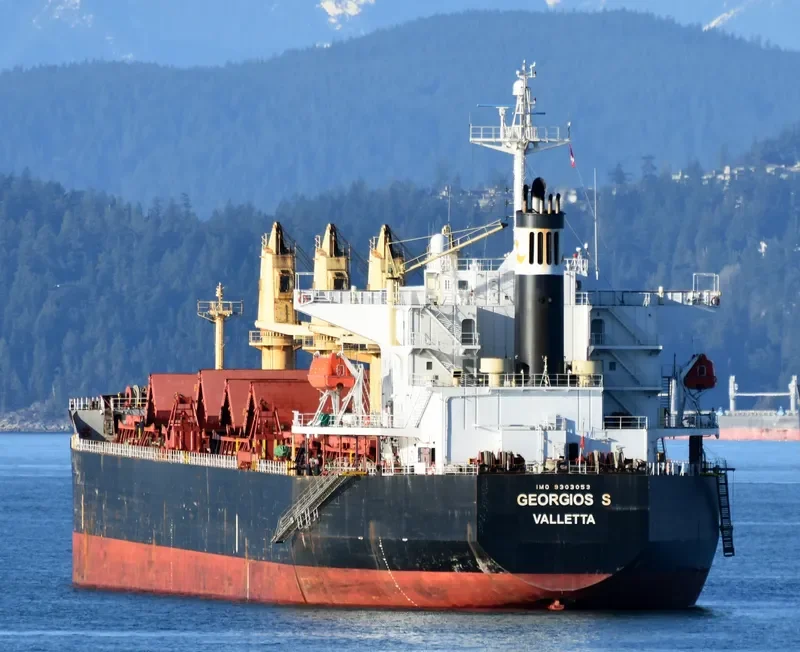 SILVER STAR Bulk Carrier IMO 9303053 photo 2
