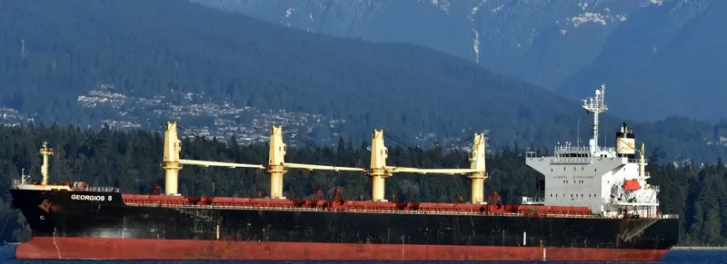 SILVER STAR Bulk Carrier IMO 9303053 photo 3