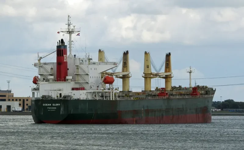 OCEAN GLORY Bulk Carrier IMO 9303077 photo 4
