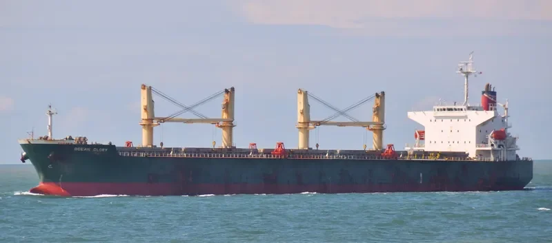 OCEAN GLORY Bulk Carrier IMO 9303077 photo 9