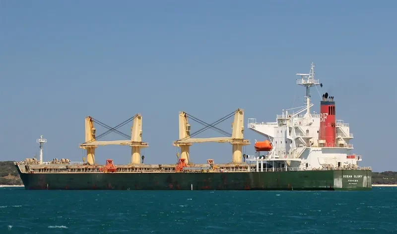 OCEAN GLORY Bulk Carrier IMO 9303077 photo 10