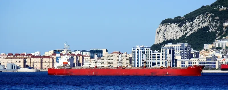 PVT SAPPHIRE Bulk Carrier IMO 9303089 photo 2