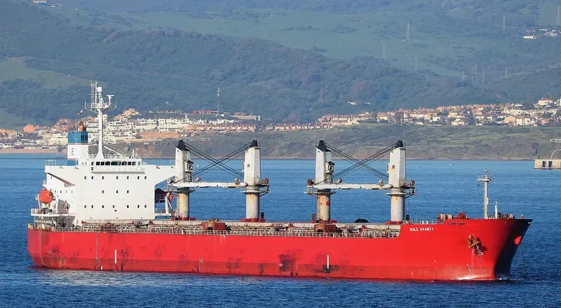 PVT SAPPHIRE Bulk Carrier IMO 9303089 photo 3