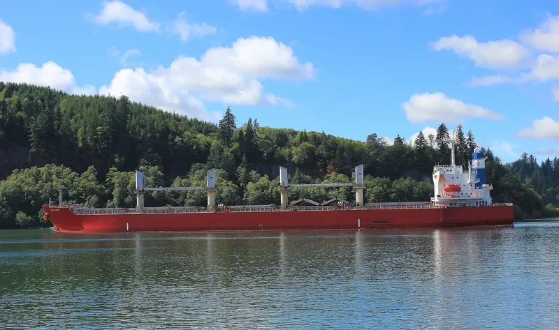 PVT SAPPHIRE Bulk Carrier IMO 9303089 photo 5