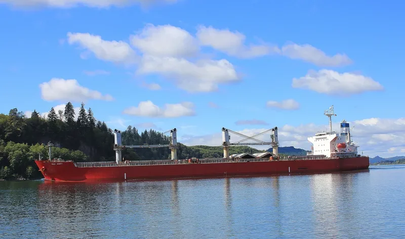 PVT SAPPHIRE Bulk Carrier IMO 9303089 photo 6