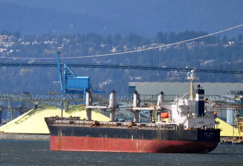 PVT SAPPHIRE Bulk Carrier IMO 9303089 photo 10
