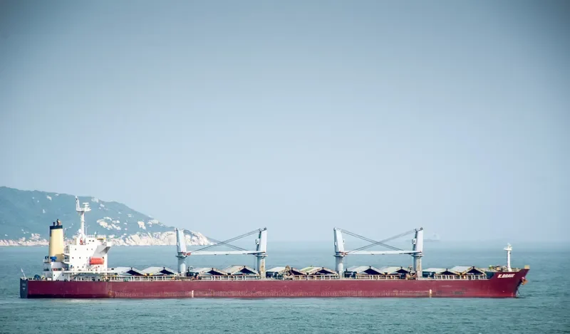 NAFISA JAHAN Bulk Carrier IMO 9303091