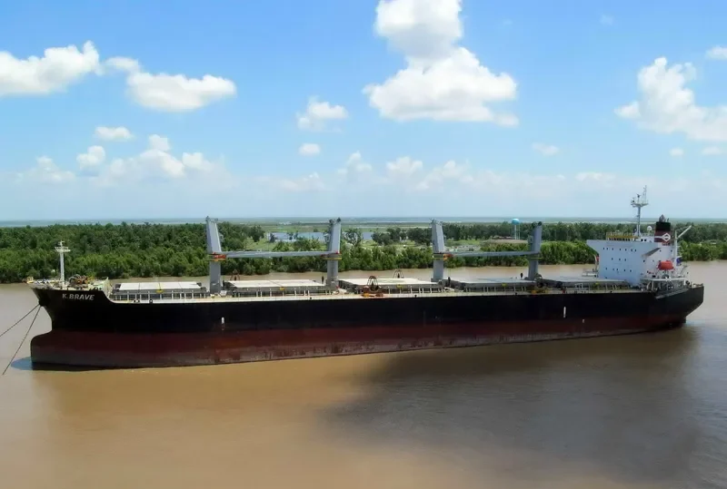 NAFISA JAHAN Bulk Carrier IMO 9303091 photo 3