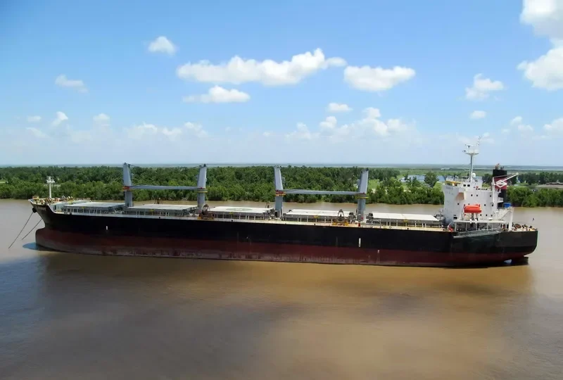 NAFISA JAHAN Bulk Carrier IMO 9303091 photo 4