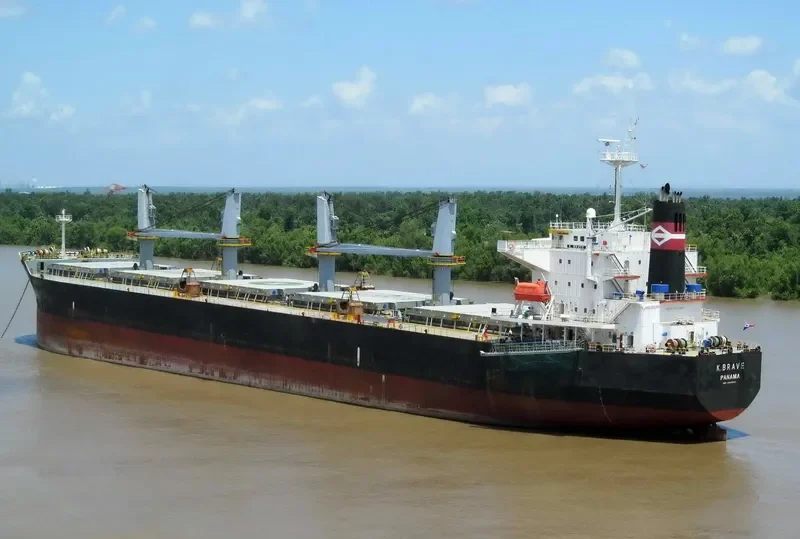 NAFISA JAHAN Bulk Carrier IMO 9303091 photo 5
