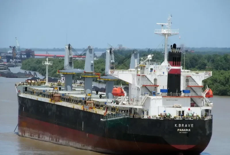 NAFISA JAHAN Bulk Carrier IMO 9303091 photo 6