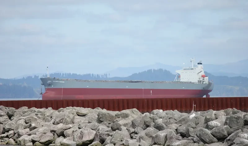 ATLANTIC HORIZON Bulk Carrier IMO 9303106 photo 2