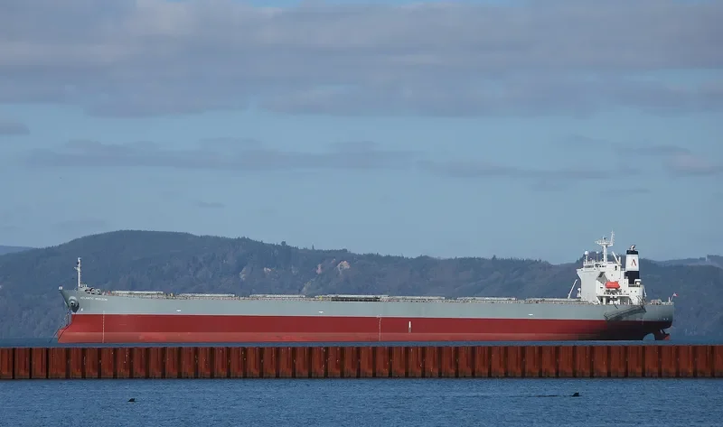 ATLANTIC HORIZON Bulk Carrier IMO 9303106 photo 3