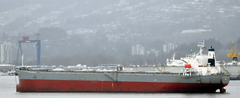 ATLANTIC HORIZON Bulk Carrier IMO 9303106 photo 6