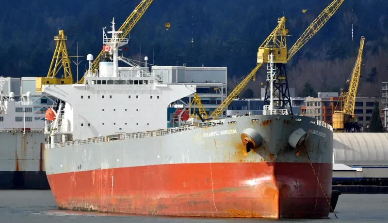 ATLANTIC HORIZON Bulk Carrier IMO 9303106 photo 7
