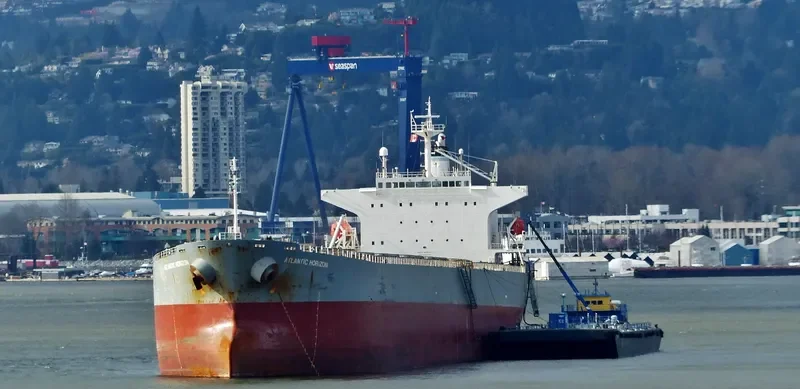 ATLANTIC HORIZON Bulk Carrier IMO 9303106 photo 8