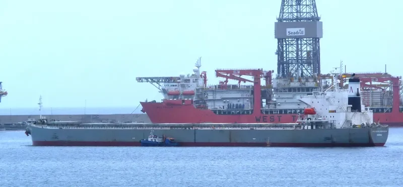 ATLANTIC HORIZON Bulk Carrier IMO 9303106 photo 9