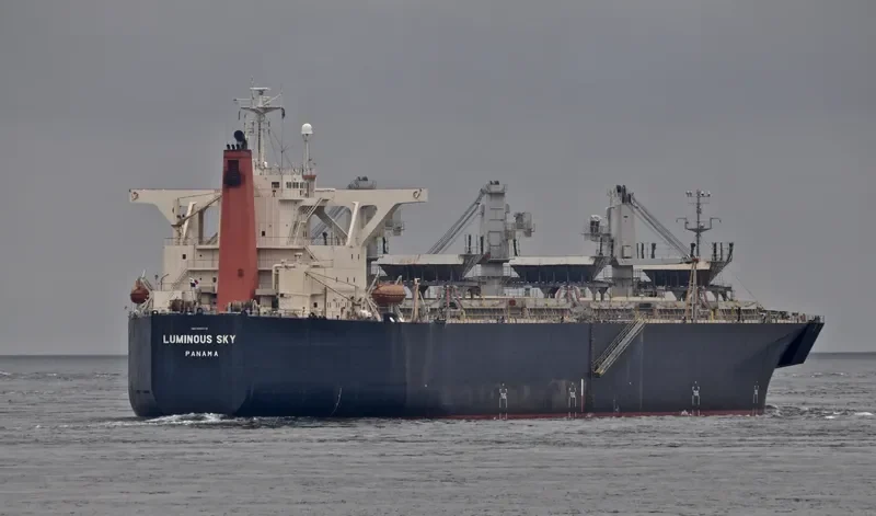 LUMINOUS SKY Bulk Carrier IMO 9303118 photo 2