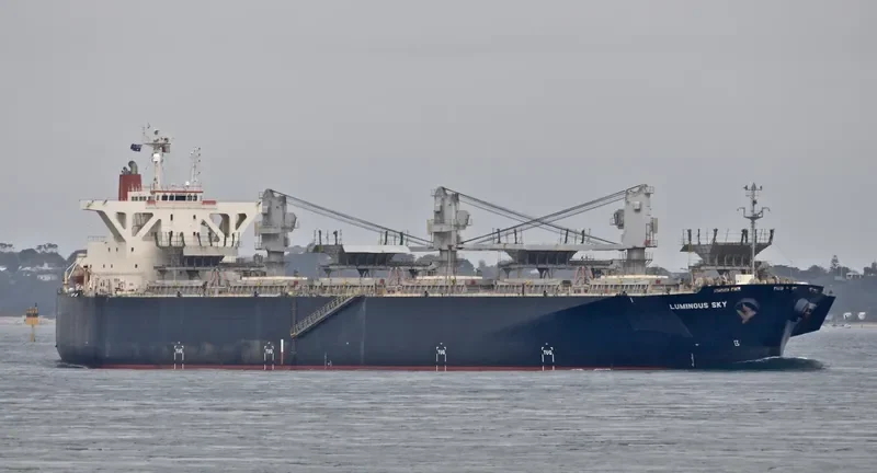 LUMINOUS SKY Bulk Carrier IMO 9303118 photo 3