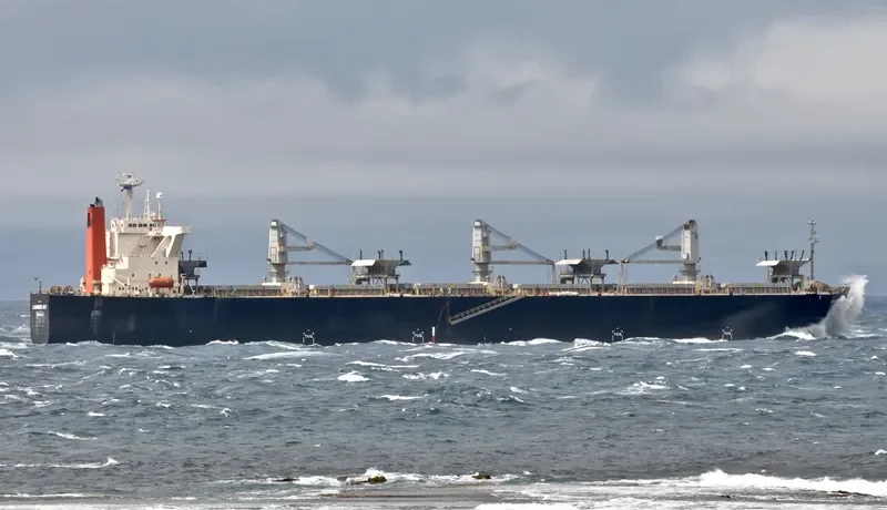 LUMINOUS SKY Bulk Carrier IMO 9303118 photo 5