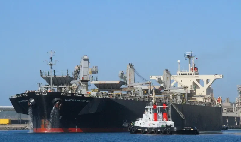UNI WINNER Bulk Carrier IMO 9303120 photo 2