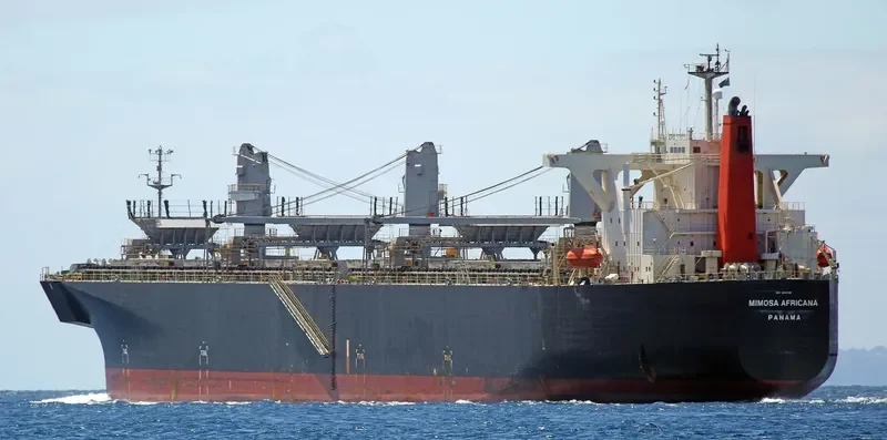 UNI WINNER Bulk Carrier IMO 9303120 photo 6