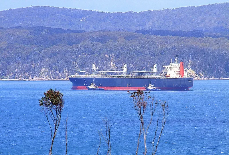 UNI WINNER Bulk Carrier IMO 9303120 photo 8