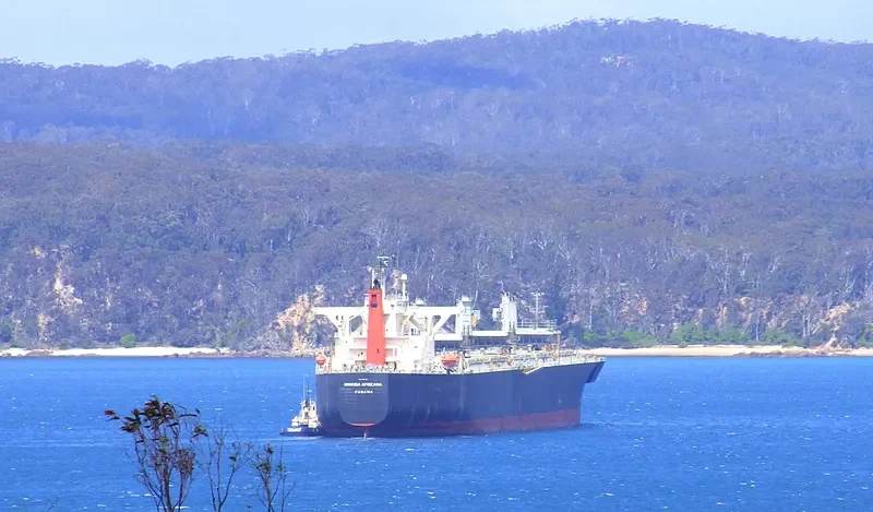 UNI WINNER Bulk Carrier IMO 9303120 photo 9