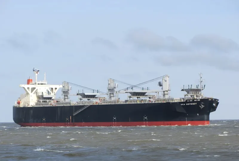 SEA ODYSSEY Bulk Carrier IMO 9303132 photo 7
