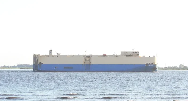 DREAM BEAUTY Ro-Ro IMO 9303168 photo 2