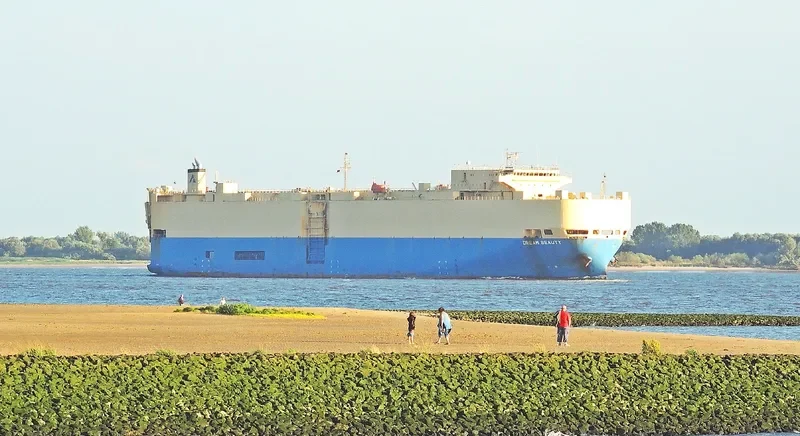 DREAM BEAUTY Ro-Ro IMO 9303168 photo 3