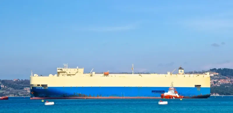 DREAM BEAUTY Ro-Ro IMO 9303168 photo 6