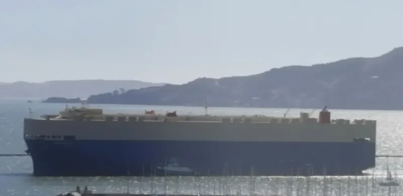 GRAND ORION Ro-Ro IMO 9303194 photo 10