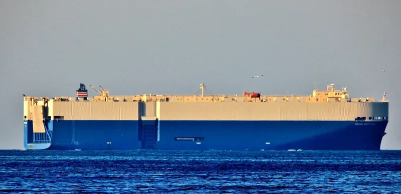 GRAND NEPTUNE Ro-Ro IMO 9303209 photo 3