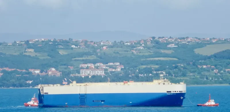 GRAND NEPTUNE Ro-Ro IMO 9303209 photo 8