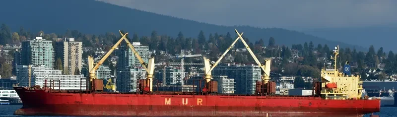AFRICAN SWAN Bulk Carrier IMO 9303364