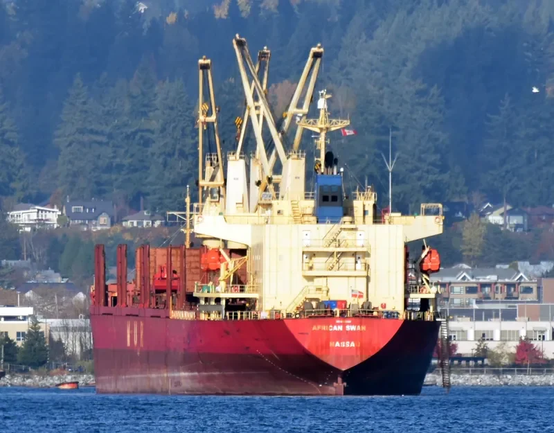 AFRICAN SWAN Bulk Carrier IMO 9303364 photo 2