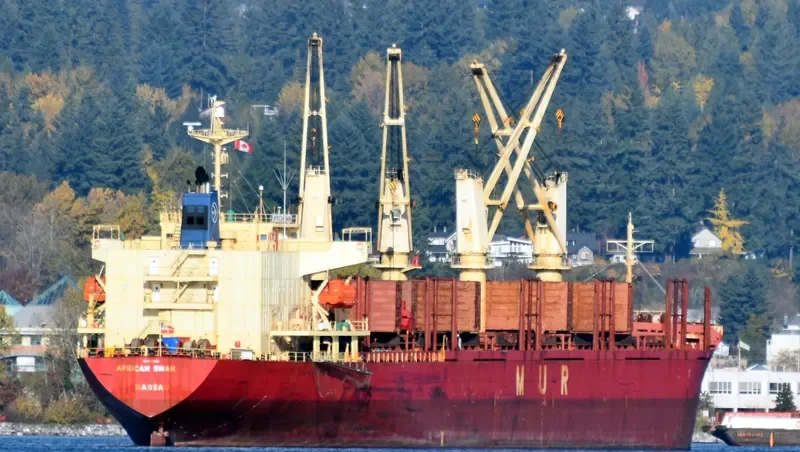 AFRICAN SWAN Bulk Carrier IMO 9303364 photo 3