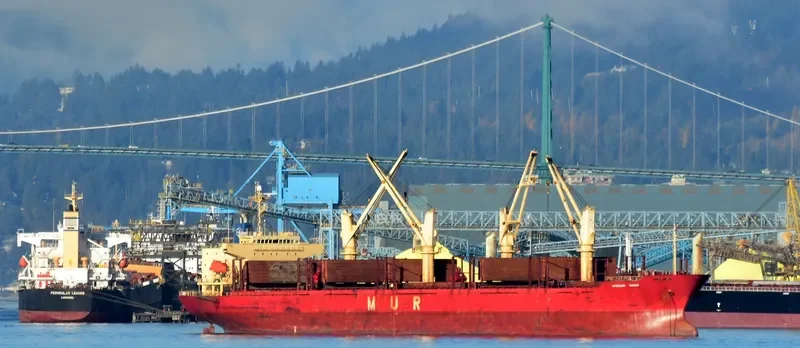 AFRICAN SWAN Bulk Carrier IMO 9303364 photo 4