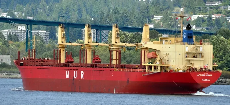 AFRICAN SWAN Bulk Carrier IMO 9303364 photo 6