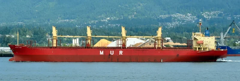 AFRICAN SWAN Bulk Carrier IMO 9303364 photo 7