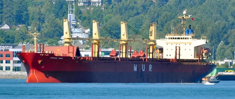 AFRICAN SWAN Bulk Carrier IMO 9303364 photo 8