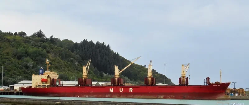 AFRICAN SWAN Bulk Carrier IMO 9303364 photo 9