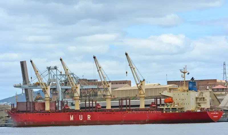 AFRICAN SWAN Bulk Carrier IMO 9303364 photo 10