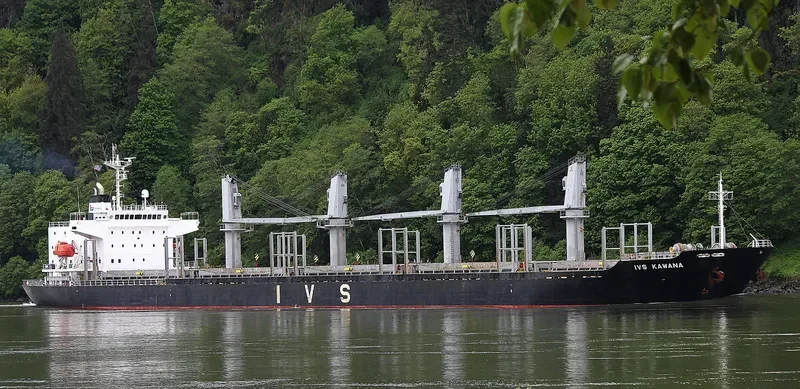 QUEEN LILA Bulk Carrier IMO 9303376 photo 3