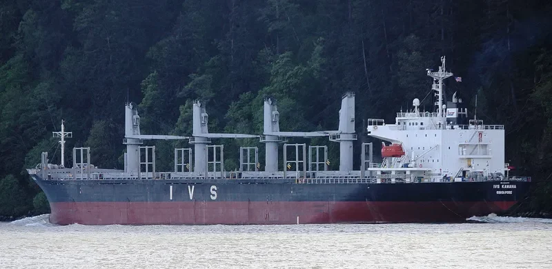 QUEEN LILA Bulk Carrier IMO 9303376 photo 4