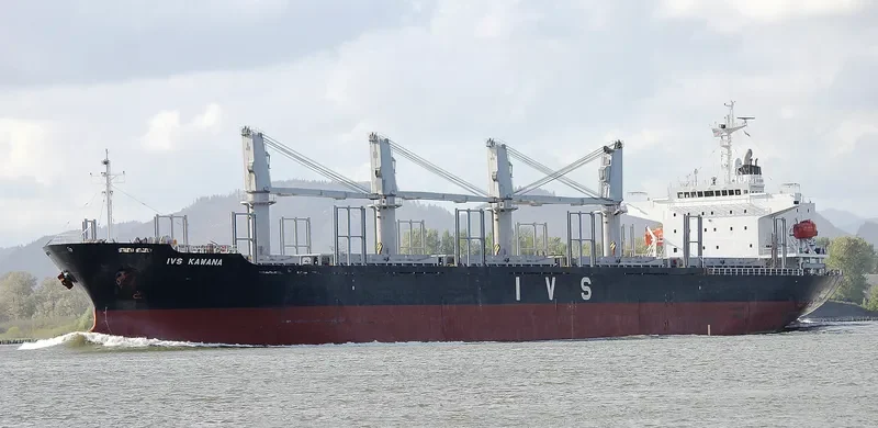 QUEEN LILA Bulk Carrier IMO 9303376 photo 6