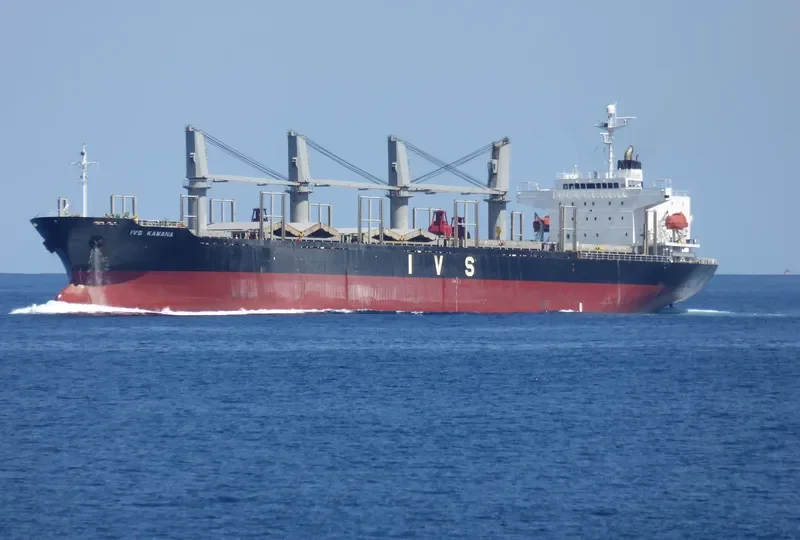 QUEEN LILA Bulk Carrier IMO 9303376 photo 7