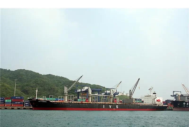 QUEEN LILA Bulk Carrier IMO 9303376 photo 8